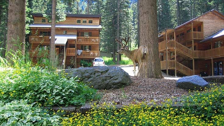 Eagle Cap Chalets at Wallowa Lake