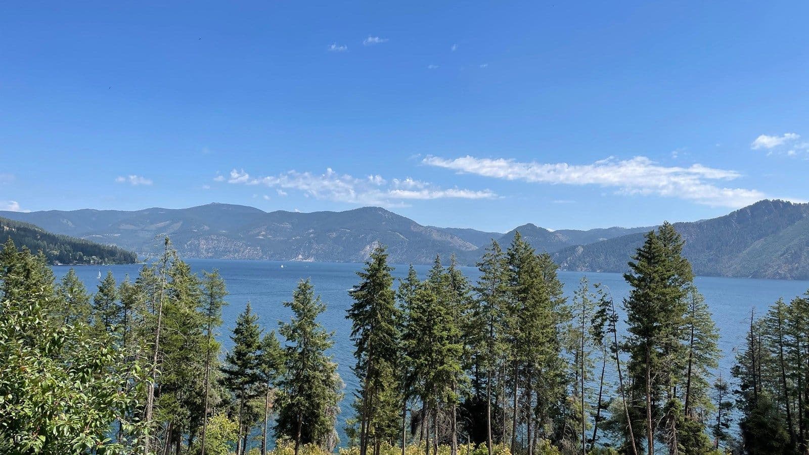 Aerial view of Lake Pend Oreille with pine trees surrounding