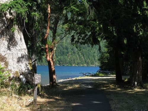 Campground along Lake Crescent with Lush Green Trees