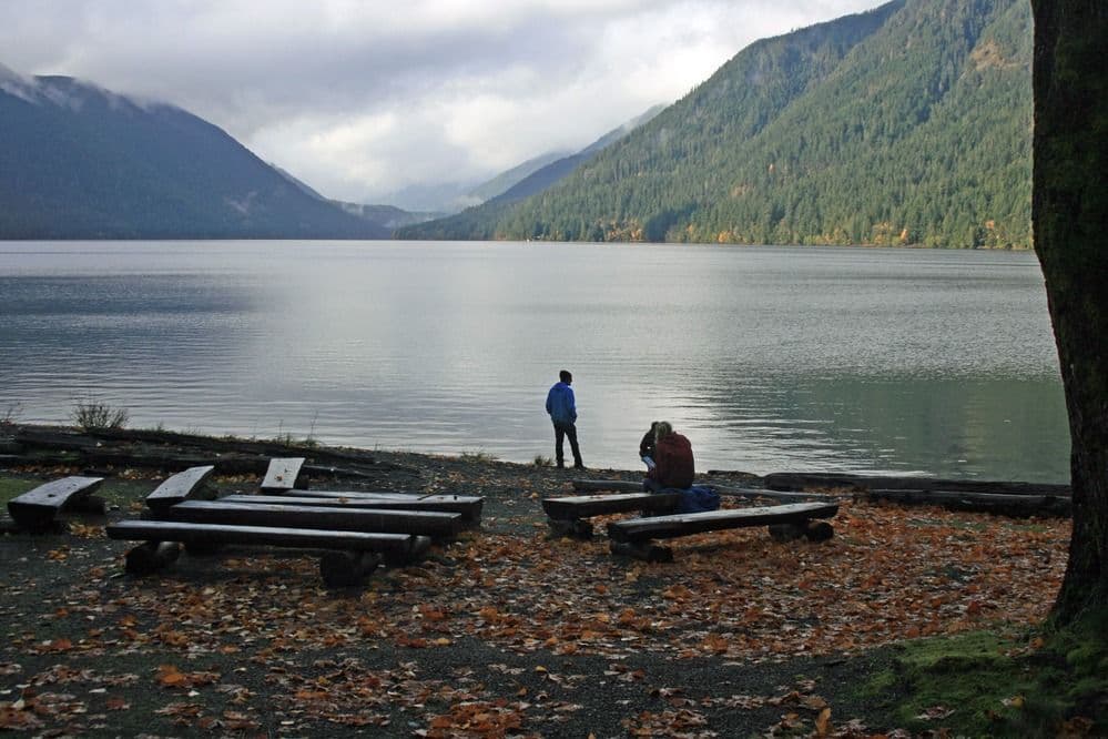 A couple sitting on a bench along the Lake Crescent shoreline with fall leaves on the ground surrounding them