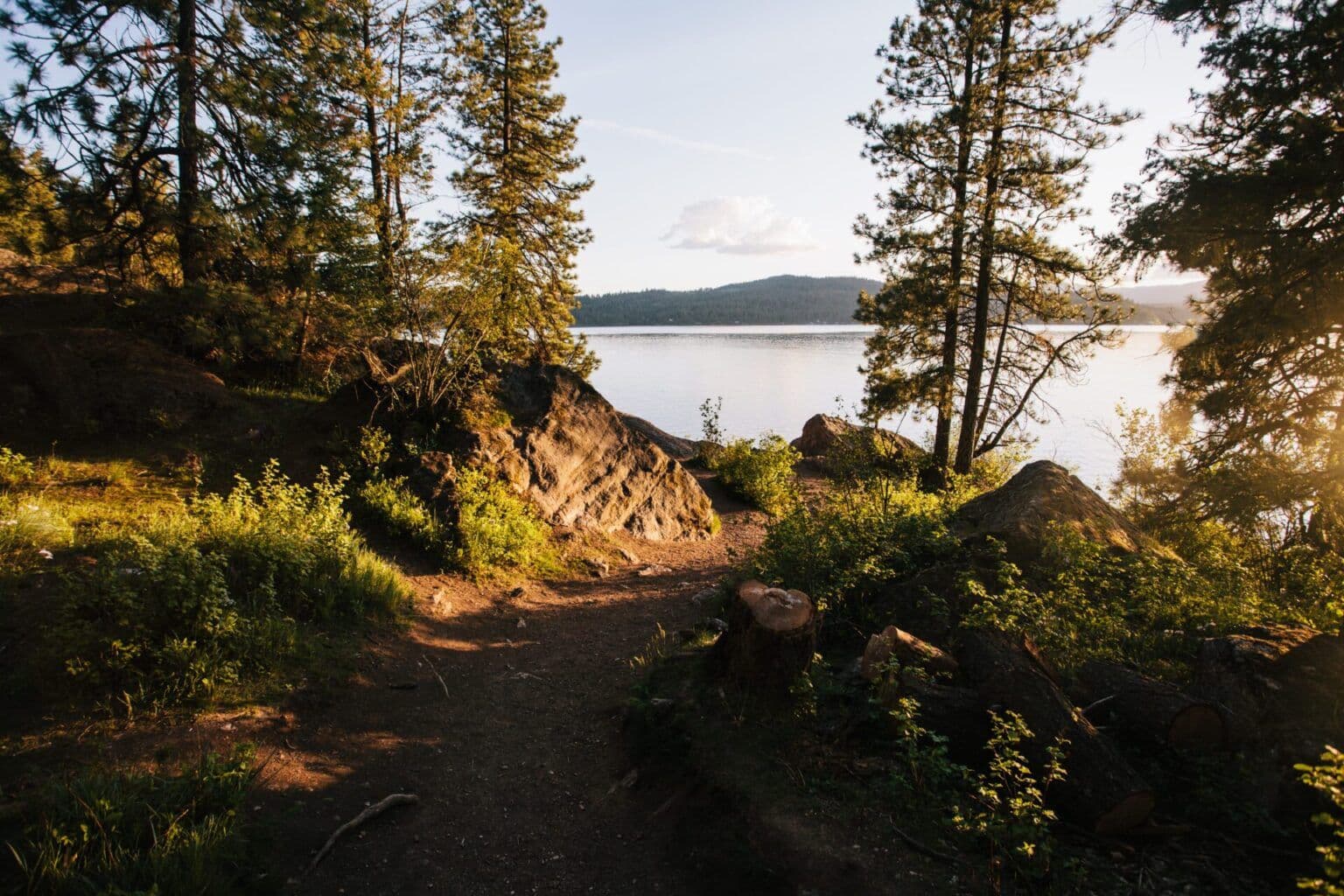 View of Lake Coeur d'Alene between trails surrounded by pine trees
