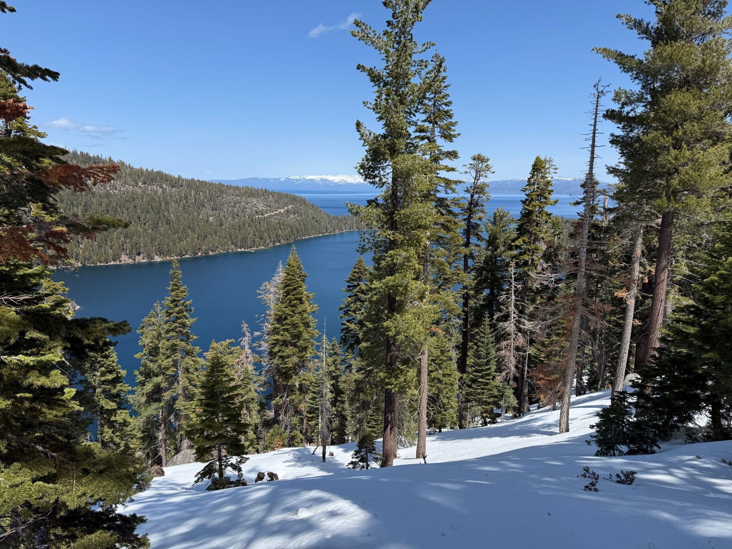 Lake Tahoe from above with Snow covered ground and Pine trees overlooking the bright blue water