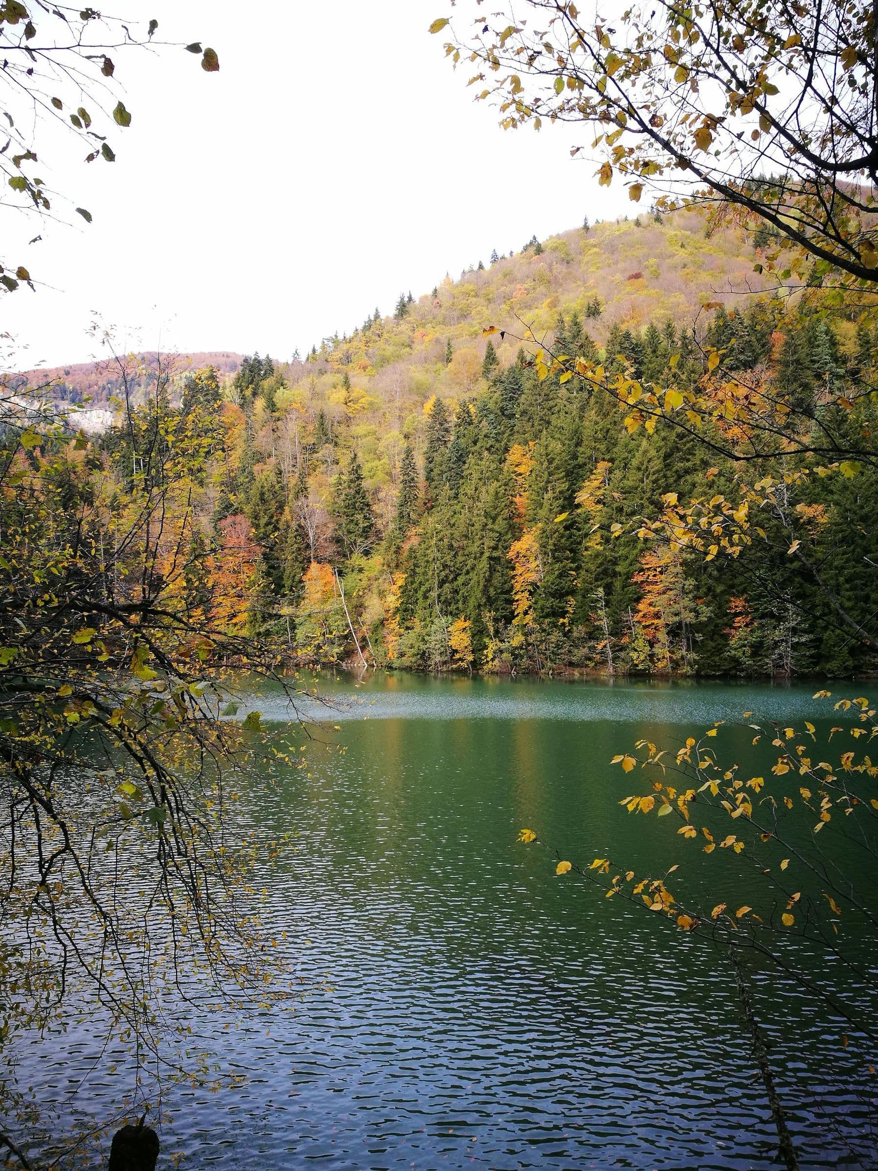 Serene lake surrounded by autumn foliage in the Georgian countryside, capturing a peaceful nature scene.