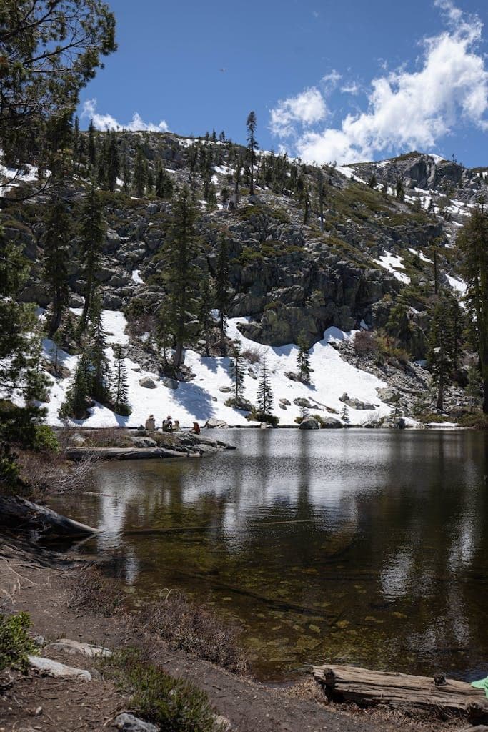 Serene mountain lake with snow-covered peaks and tall pine trees under a sunny sky, perfect for winter scenery.