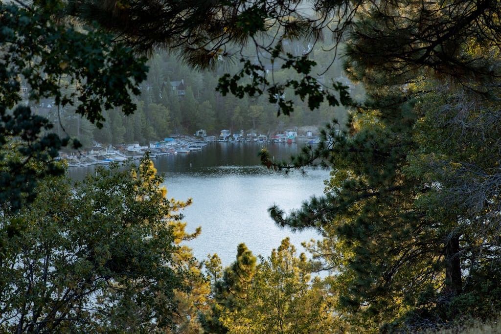 Serene view of Lake Arrowhead, California framed by lush green trees under daylight.