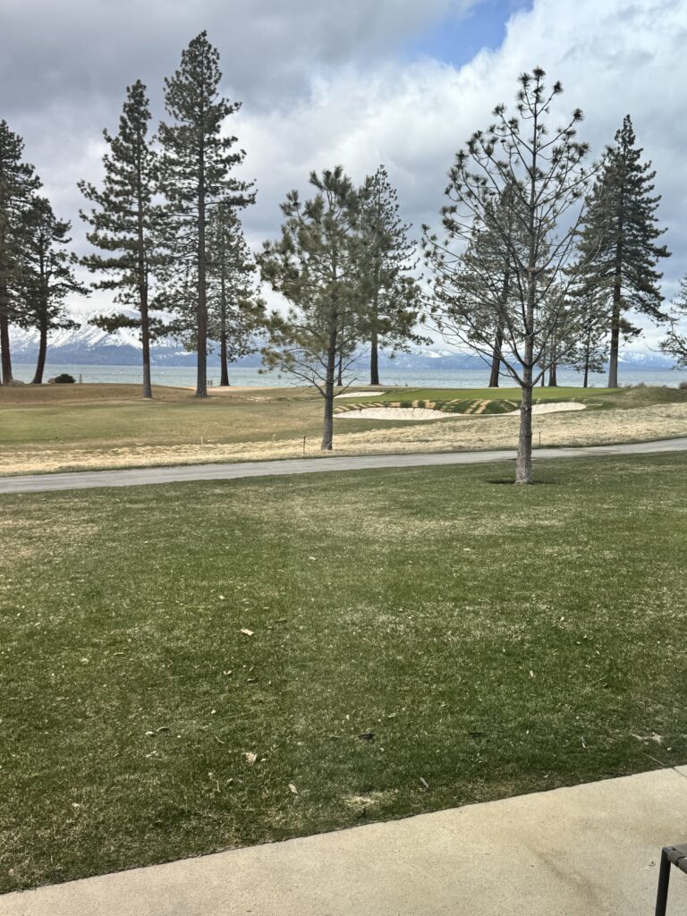 IMG 7115