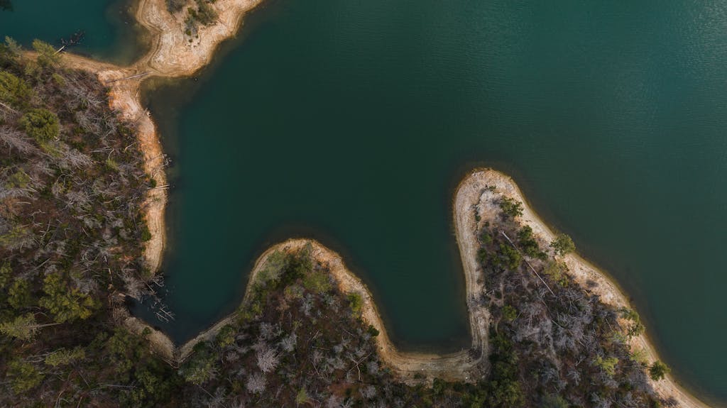 Stunning aerial shot of a lake surrounded by lush forest in Shasta, California.
